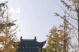 #2020乌镇时间#AI教你跳广场舞！老少皆宜的5G智联版公园太酷啦视频封面