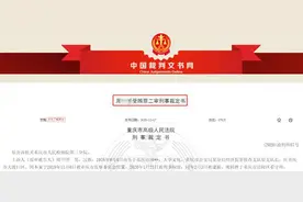 400亿诈骗大案细节曝光图片