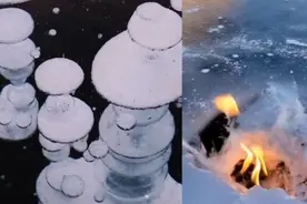 气体被冻住！漠河冰湖下现“冰泡”奇观视频封面