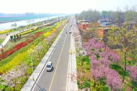 微山县微山岛环湖路：全力打造乡村旅游型水上景观环湖路图片