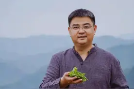 走进直播间的副县长们图片