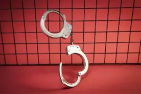 辽宁男子组“旅游团”前往阿联酋打黑工，一审获刑四年三个月图片