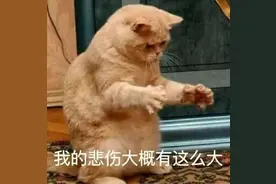 小“石头”引发大问题，竟比癌症更危险图片