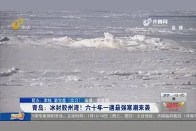 60年一遇最强寒潮来袭，青岛究竟有多冷？海风呼啸，胶州湾被冰封