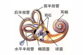 王俊凯突然得的这种病，可能已“盯上”你！这些症状不容忽视……图片