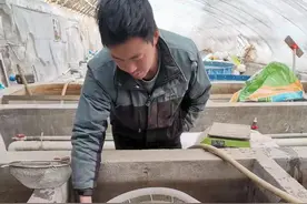 如皋残疾青年创业者张飞：身残志坚 折翼仍飞翔图片