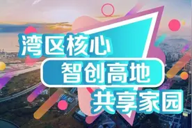 宝安区召开庆祝中国共产党成立100周年座谈会暨“两优一先”表彰会图片