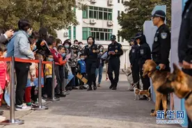 可爱又霸气！警犬比武场上秀绝技图片