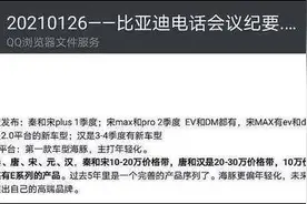 “海豚”跃出水面，比亚迪品牌向上正当时？图片