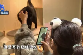 宠物寄养今年不用“争笼”了，还有加菜年夜饭吃图片