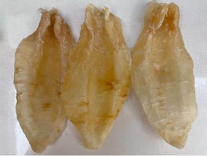 慢性胃炎能不能吃花胶 2026年慢性胃炎能吃花胶吗