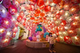 汤圆英文名是“tangyuan”，为啥灯笼的英文名不是“denglong”？图片