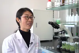 这个“爱豆”，我们追定了图片