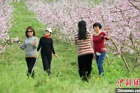 四川：春回大地 市民尽享烂漫春色图片