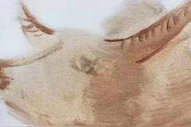 我与牛不得不说的故事图片