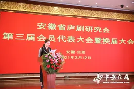 第三届安徽省庐剧研究会完成换届图片