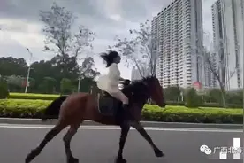 网传一美女街头策马奔腾？广西交警：属实！已教育纠正并责令整改图片