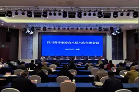 今年，四川文学怎么做？省作协八届六次全委会召开，做了这些规划图片