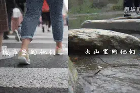 新华全媒+｜山为邻，树为伴，他们是一群扎根森林的“青山后浪”图片
