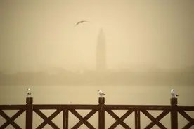 对沙尘暴，我们还要科学认识图片