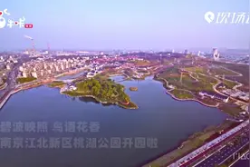 开园了！南京江北这座“桃花岛”等你来打卡视频封面