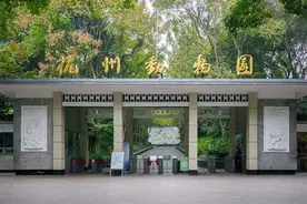 每天能撸那么多小可爱！杭州这则招聘火了：事业编，要求有体力图片