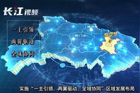 “9个城市就是1个城市”！武汉发力做实“1+8”武汉城市圈同城化