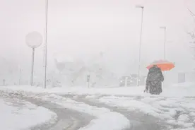 欧洲多地迎来降雪天气，市民冒雪出行图片