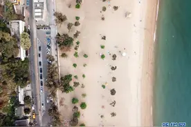浅水湾畔读萧红图片