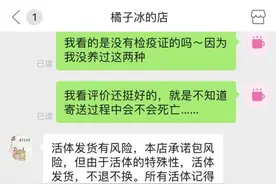 活鳄鱼蜘蛛蟑螂都能寄？快递业应上好安全锁图片