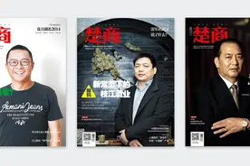 「联合会动态」湖北省楚商联合会第二届四次监事会召开图片