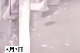 豹子找到了？！疑似在富阳金苑山庄小区现身！杭州野生动物世界关园：发生安全问题图片