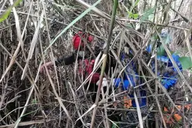 中国女翻译遗体在厄瓜多尔被发现埋地下30厘米！表面无伤痕图片