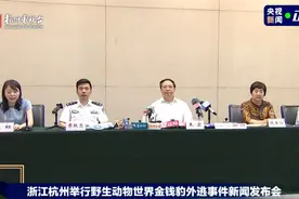 央视热评：丢豹又“瞒豹”要查清是哪个环节在“捂盖子”图片