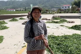 在浮梁县，我和六位村民聊了聊大地和艺术图片