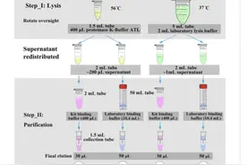 博物馆的皮张如何提取DNA？中国的高效方法获灰狼全基因组图片