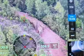 世界动物保护协会首席科学家解读：野象北迁是生存进化行为，或很难再返西双版纳图片