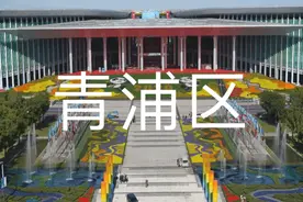 生活在风景中，青浦区这些市容街景提升了图片