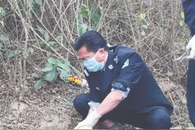 黎定琦：0.02视力下的明亮人生图片
