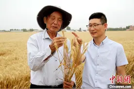 产粮大省是怎样炼成的？山东加快农业现代化建设步伐图片