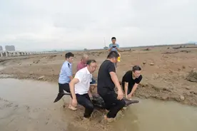 成功营救！2只海豚被运至外海放归！为什么最近老有鲸豚搁浅？图片
