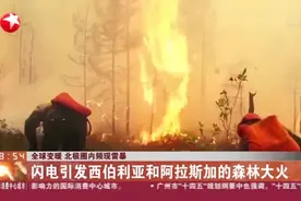 全球变暖  北极圈内频现雷暴：闪电引发西伯利亚和阿拉斯加的森林大火视频封面