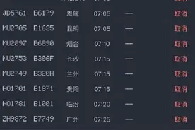 注意！成都飞南京逾半出港航班宣布取消图片