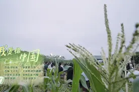 吕思清王弢欧阳娜娜陈萨田野合奏《我爱你中国》何炅黄磊听得入迷图片