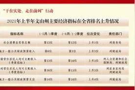 高起点规划、高水平建设！文山大力实施园林绿化工程建设图片