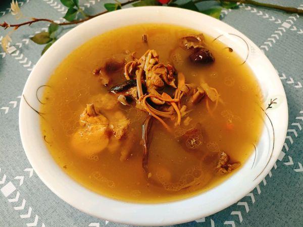 花胶红枣虫草花炖鸡汤 2026年虫草花花胶煲鸡汤