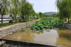 两本书的差异图片