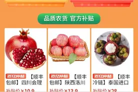 拼多多上线第三届“农货节”“百亿补贴”涉农商家破万图片
