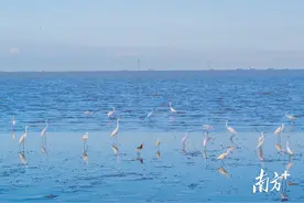 滨海湾交椅湾入围“全国美丽海湾优秀案例”评选图片