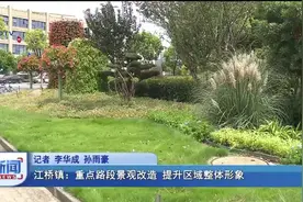 江桥镇：重点路段景观改造 提升区域整体形象视频封面